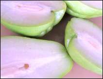Ensalada de Chayote Cocido – Receta Vegetariana Mexicana 