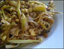 Ensalada de Soya Germinada- Receta Vegetariana