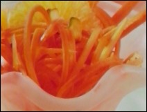 Ensalada de Zanahoria, Naranja y Pistache Receta para Navidad