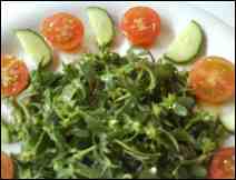 Ensalada Decorativa de Verdolagas- Receta Tradicional Mexicana 