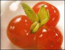 Sabrosa crema de cerezas – Receta de Baja California