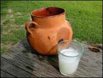 Refrescante Pulque Curado de Fresa 