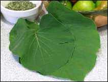 Huachinanguito en Acuyo y Nopales