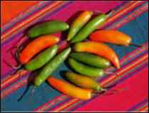 Salsa Ranchera al estilo San Mateo Tlapiltepec- Receta Tradicional de Oaxaca