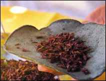 Tacos de Gusano de Maguey - Receta Típica de Tulancingo Hidalgo 