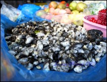 Huitlacoche en Atole Oaxaqueño - Receta Oaxaqueña - GuiaDeTacos.com ::México::