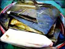 Tamales de Escamoles Hidalguenses