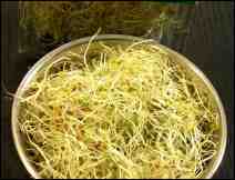 Cóctel de Alfalfa con Limón – Bebida Tradicional Mexicana