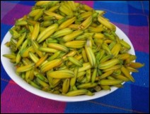 Flor de Sábila Queretana - Receta Queretana