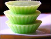 Gelatina Agar Agar – Receta Vegetariana 